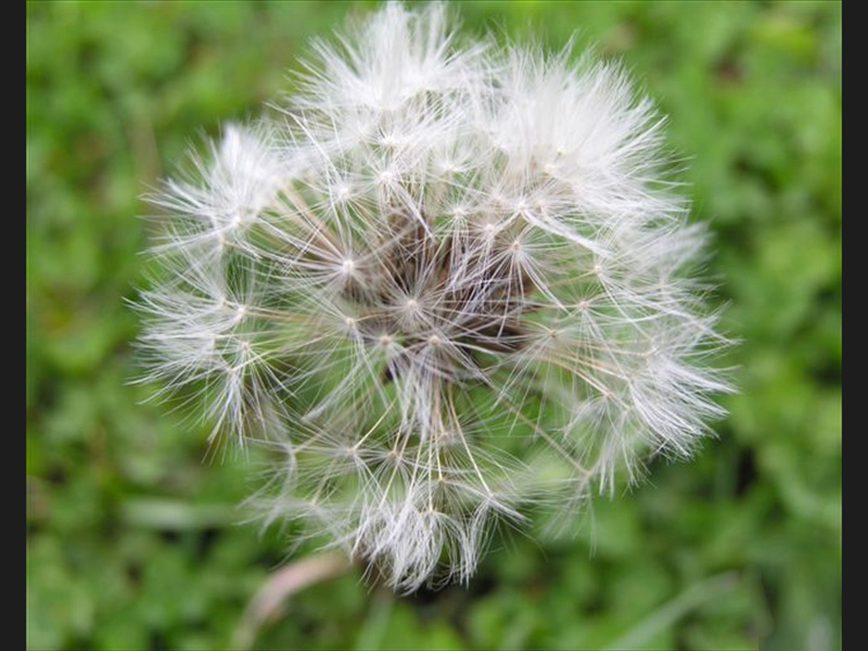 028